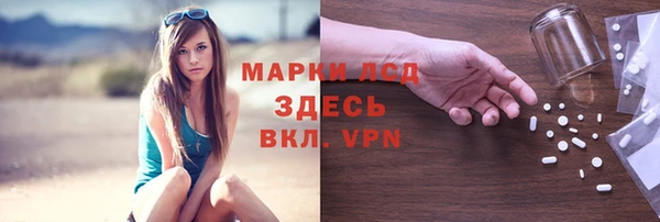 гашиш Богданович