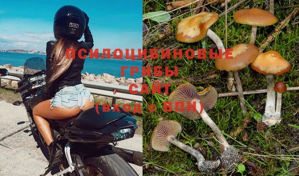 гашиш Богданович