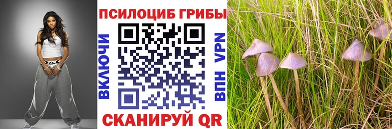 Псилоцибиновые грибы прущие грибы  Новый Уренгой 